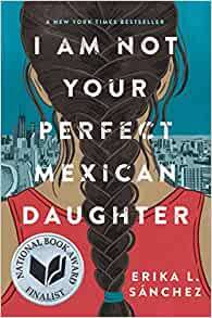 "I am not your perfect Mexican daughter" book cover featuring an illustration of the back of a person's head with a long braid of hair.